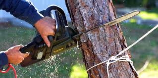 Reliable Durant, MS Tree Removal and Landscaping Services Solutions